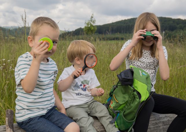 Naturerlebnis für Kinder